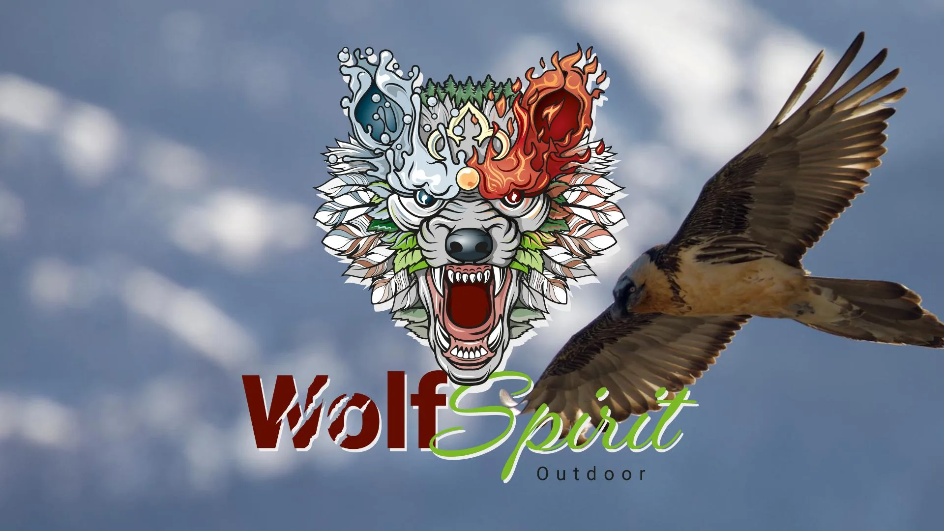 Phot de gypète en Valais sur le site web de l'association wolf spirit